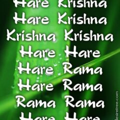 Hare Krishna Maha Mantra 234