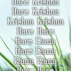 Hare Krishna Maha Mantra 235