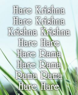 Hare Krishna Maha Mantra 235
