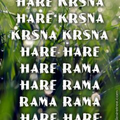 Hare Krishna Maha Mantra in French 027