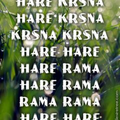 Hare Krishna Maha Mantra 236