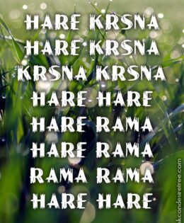 Hare Krishna Maha Mantra in French 027