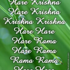 Hare Krishna Maha Mantra 238