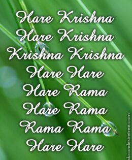 Hare Krishna Maha Mantra 238