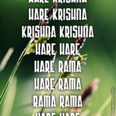 Hare Krishna Maha Mantra 239