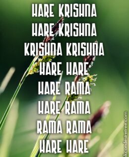 Hare Krishna Maha Mantra 239