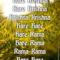 Hare Krishna Maha Mantra 240