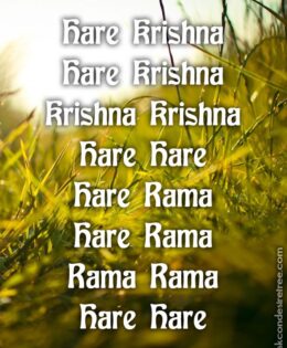 Hare Krishna Maha Mantra 240