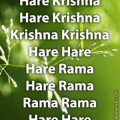 Hare Krishna Maha Mantra 241