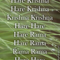 Hare Krishna Maha Mantra 242