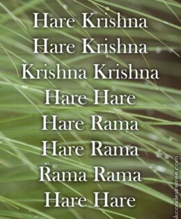 Hare Krishna Maha Mantra 242