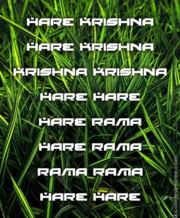 Hare Krishna Maha Mantra 243