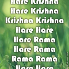 Hare Krishna Maha Mantra 244