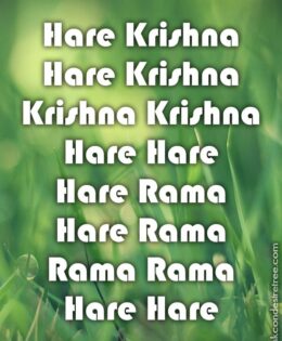 Hare Krishna Maha Mantra 244