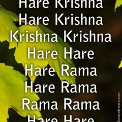 Hare Krishna Maha Mantra 245
