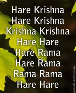 Hare Krishna Maha Mantra 245