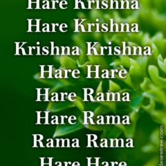 Hare Krishna Maha Mantra 246