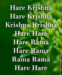 Hare Krishna Maha Mantra 246