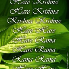 Hare Krishna Maha Mantra 247