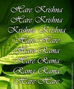 Hare Krishna Maha Mantra 247