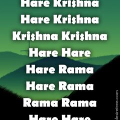 Hare Krishna Maha Mantra 248