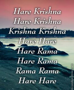 Hare Krishna Maha Mantra 250