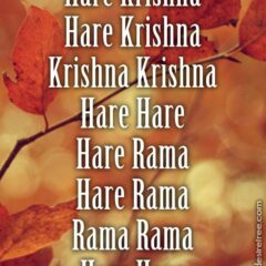 Hare Krishna Maha Mantra 255