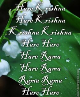 Hare Krishna Maha Mantra in French 024