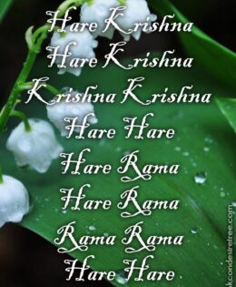 Hare Krishna Maha Mantra 256