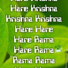 Hare Krishna Maha Mantra 257