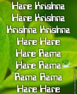 Hare Krishna Maha Mantra 257