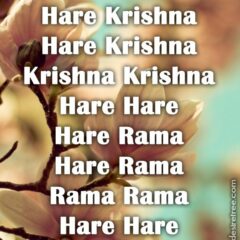 Hare Krishna Maha Mantra 261