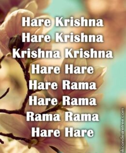 Hare Krishna Maha Mantra 261