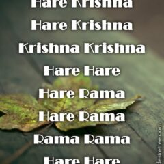 Hare Krishna Maha Mantra 262
