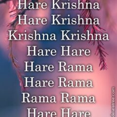 Hare Krishna Maha Mantra in French 021