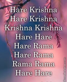 Hare Krishna Maha Mantra in French 021