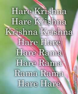 Hare Krishna Maha Mantra 274