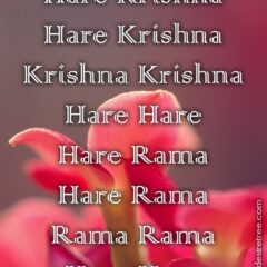 Hare Krishna Maha Mantra 276