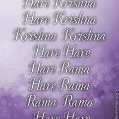 Hare Krishna Maha Mantra 285