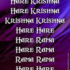 Hare Krishna Maha Mantra 286