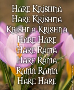 Hare Krishna Maha Mantra 287