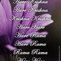 Hare Krishna Maha Mantra 288