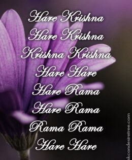 Hare Krishna Maha Mantra 288