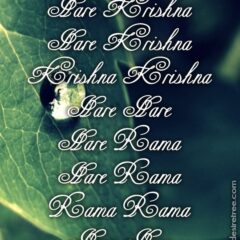 Hare Krishna Maha Mantra 289