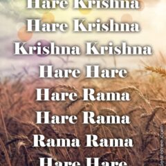 Hare Krishna Maha Mantra 290
