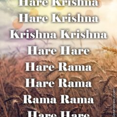 Hare Krishna Maha Mantra 290