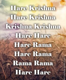 Hare Krishna Maha Mantra 290