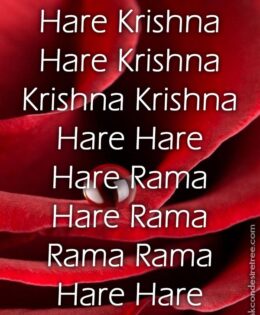 Hare Krishna Maha Mantra 293