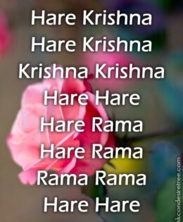 Hare Krishna Maha Mantra 295