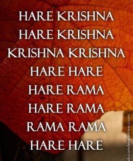 Hare Krishna Maha Mantra 297